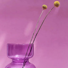 Заредете изображение във визуализатора на галерията – Iris Glass Vase