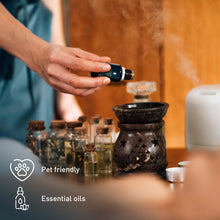 Заредете изображение във визуализатора на галерията – Pet Friendly 6 Pack Aromatherapy Collection