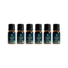 Заредете изображение във визуализатора на галерията – Pet Friendly 6 Pack Aromatherapy Collection