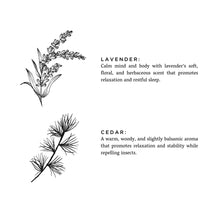 Заредете изображение във визуализатора на галерията – Lavender + Cedar - Signature Candle