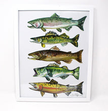 Load image into Gallery viewer, Fish Art Print- 11x14, Simple Outdoor Artwork, Animal Art, Fish Painting Print