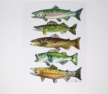 Load image into Gallery viewer, Fish Art Print- 11x14, Simple Outdoor Artwork, Animal Art, Fish Painting Print
