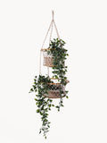 Jhuri Double Hanging Basket | Bamboo & Macramé | Two-Tier | KORISSA