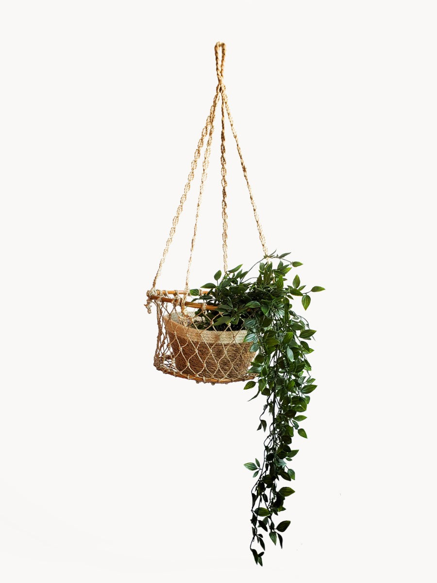 Jhuri Double Hanging Basket