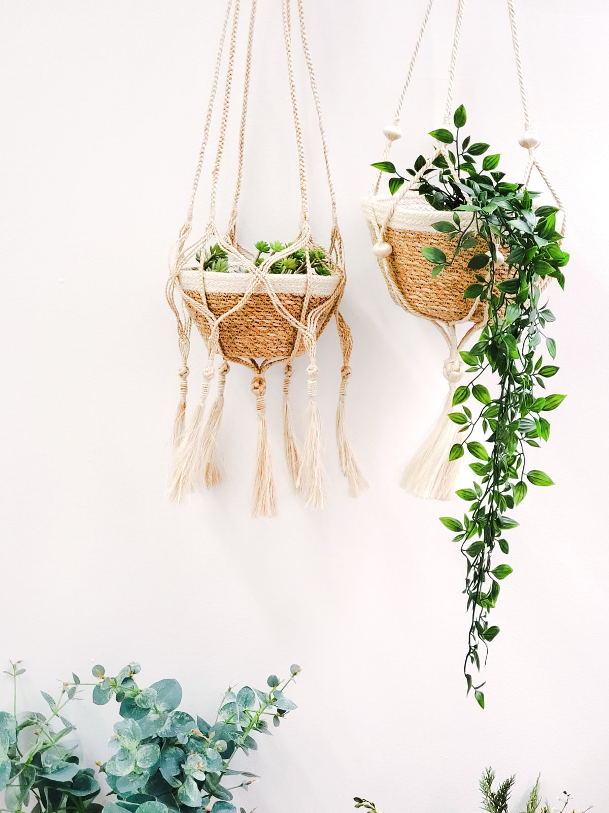 Nadu Jute Plant Hanger | KORISSA