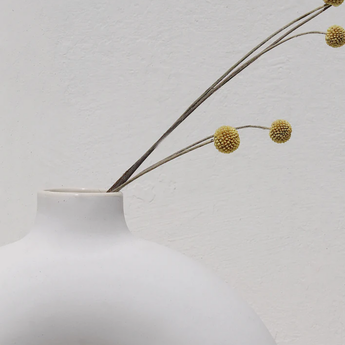 "Half Polo" Arch Ceramic Vase | Sculptural Off-White | Osmos Studio