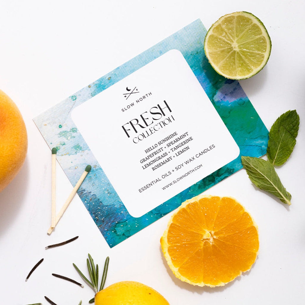 Fresh Collection Candle Set | 4 x 6 oz Travel Tins | 100% Essential Oils | Slow North