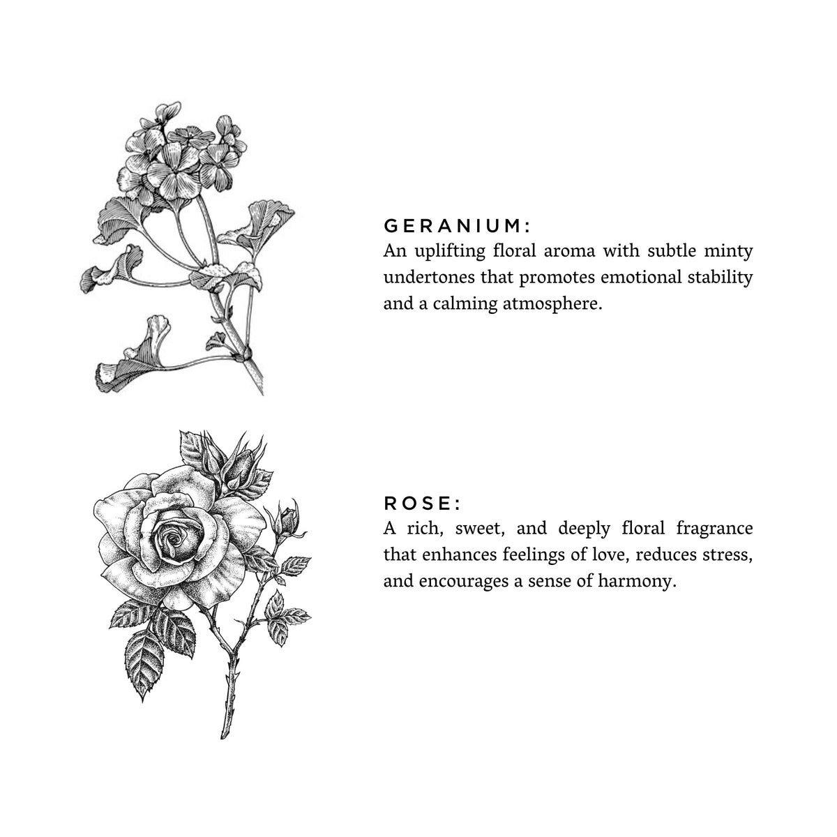 Geranium + Rose Signature Candle | Slow North | Natural Soy Wax