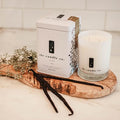 HIBERNATE Soy Candle | Patchouli, Tonka, Vanilla & Chamomile | 60hr | TLC Candle Co.
