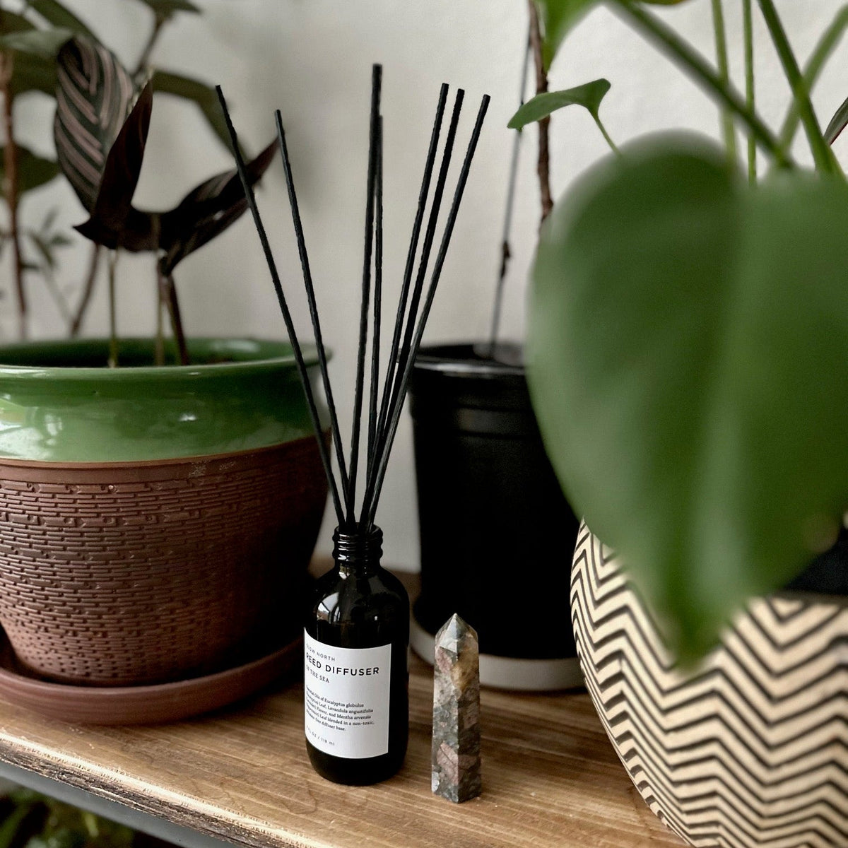 Of The Sea Reed Diffuser | Eucalyptus + Lavender + Peppermint | Slow North