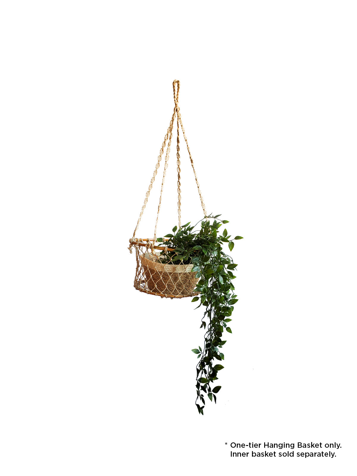 Jhuri Double Hanging Basket