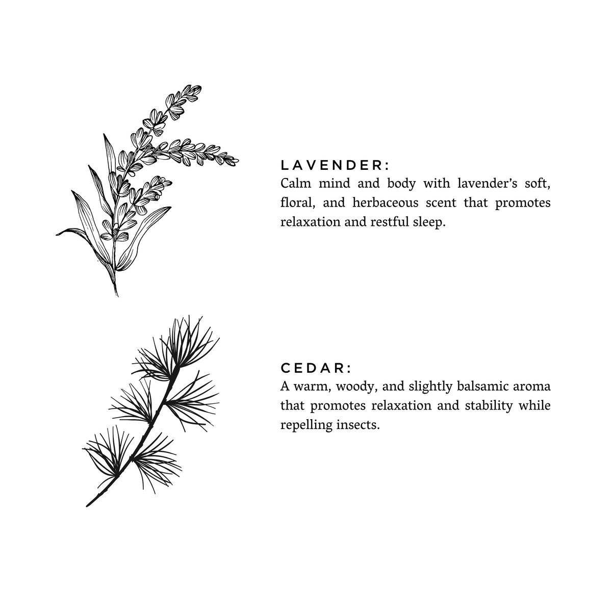 Lavender + Cedar Signature Candle | Slow North | Natural Soy Wax