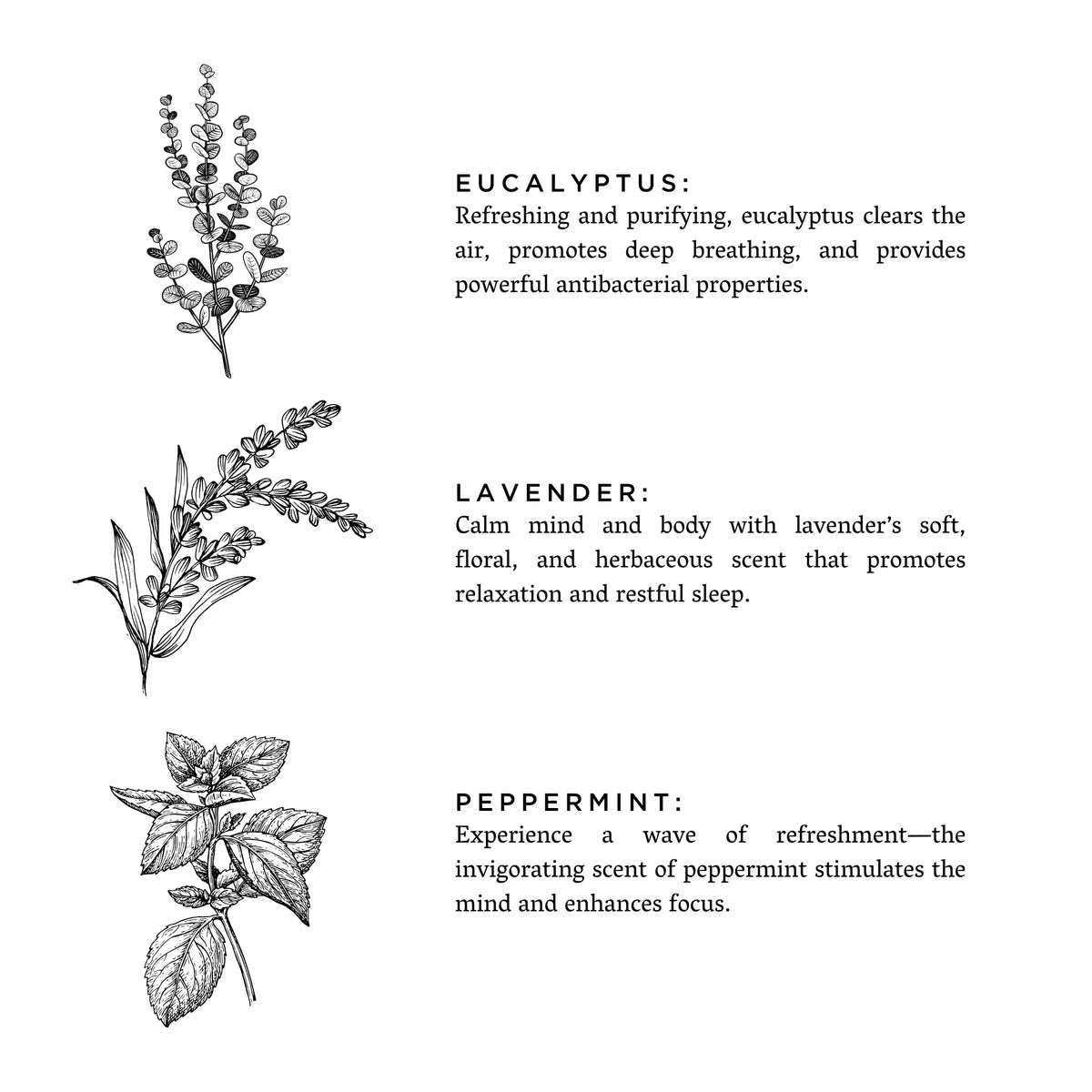 Of The Sea Reed Diffuser | Eucalyptus + Lavender + Peppermint | Slow North