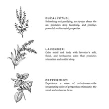 Load image into Gallery viewer, Of The Sea - Reed Diffuser (Eucalyptus + Lavender + Peppermint)
