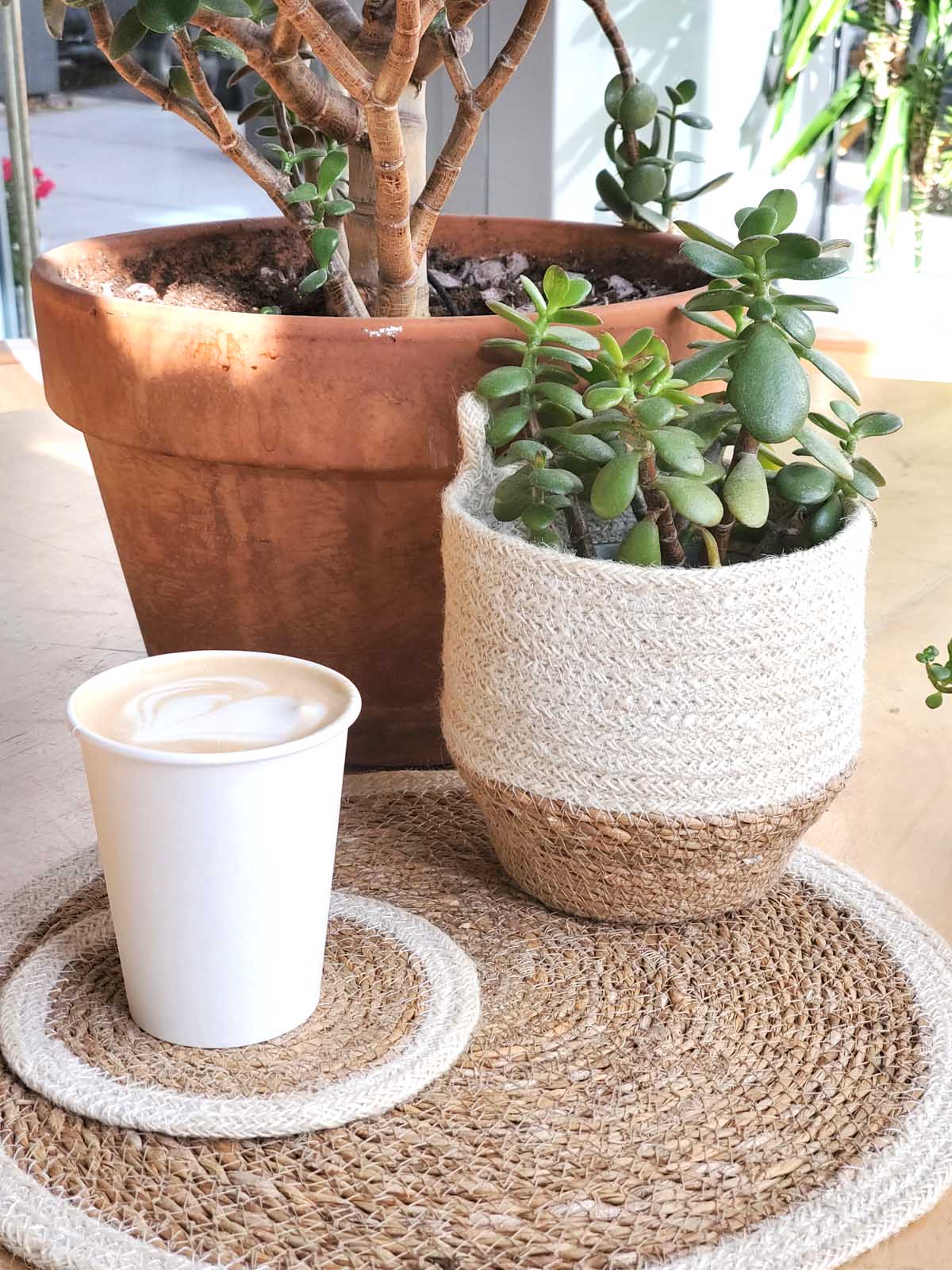 Amari Loop Basket - Natural | Handwoven Jute Plant & Vase Holder