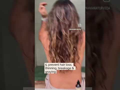 PAAVANI Ayurveda Herbal Hair Oil | Ayurvedic Scalp & Hair Treatment