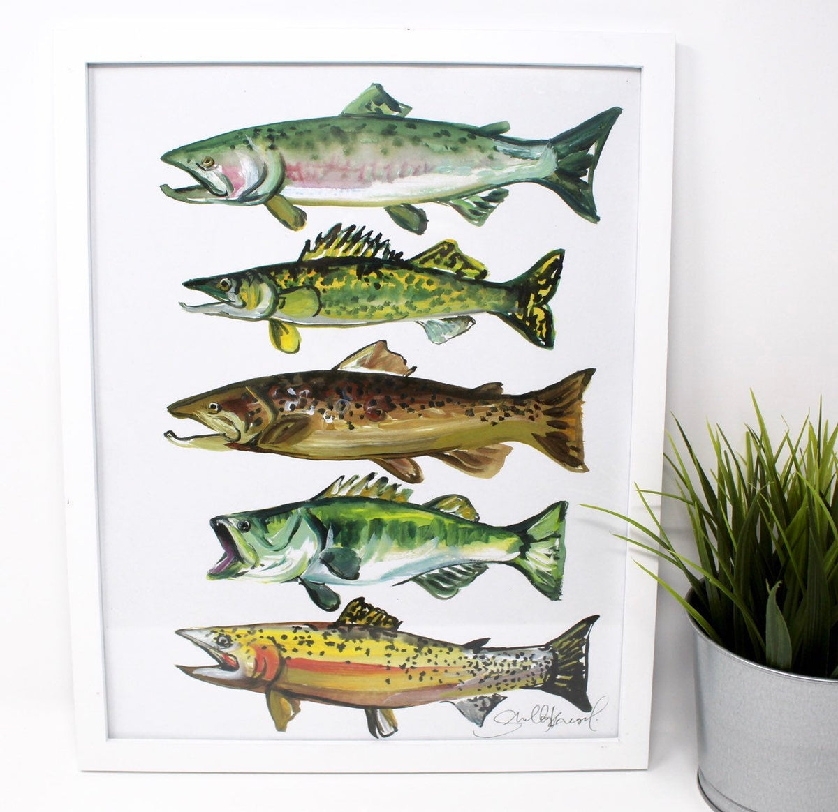 Freshwater Fish Art Print | 11” × 14” | Shelby Kregel
