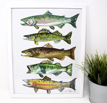 Заредете изображение във визуализатора на галерията – Fish Art Print- 11x14, Simple Outdoor Artwork, Animal Art, Fish Painting Print
