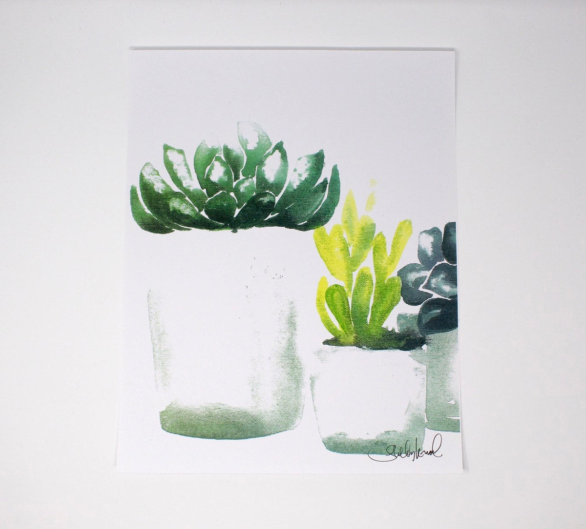 Succulent Art Print | Set of 4 | 11” × 14” | Shelby Kregel