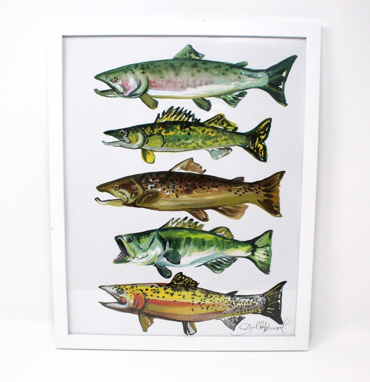 Freshwater Fish Art Print | 11” × 14” | Shelby Kregel
