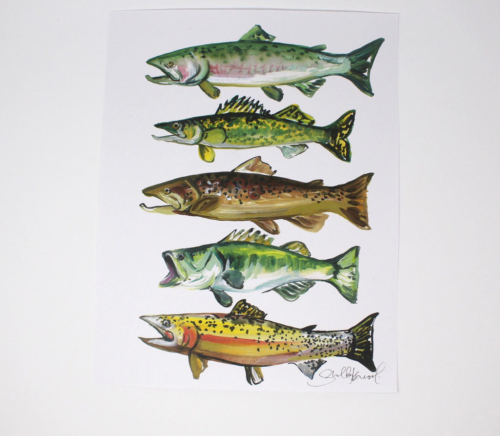 Freshwater Fish Art Print | 11” × 14” | Shelby Kregel