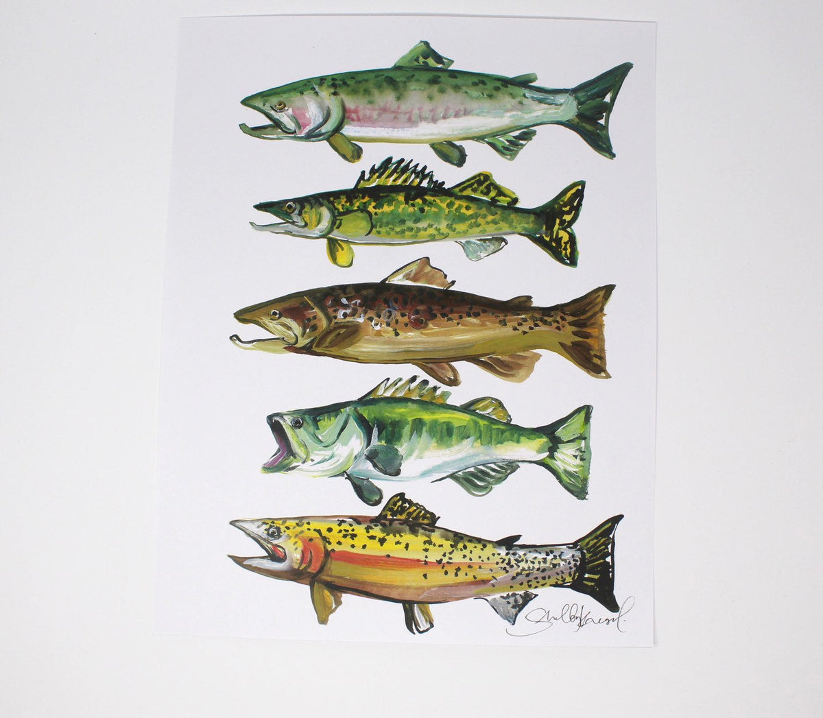 Freshwater Fish Art Print | 11” × 14” | Shelby Kregel
