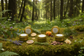 Slow North Favorites Collection | 6-Pack Soy Wax Mini Candles | 100% Essential Oil Scents